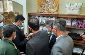 گشایش تولیدات و محصولات مشاغل خانگی در لارستان